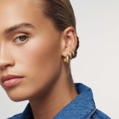 The Golden Earrings