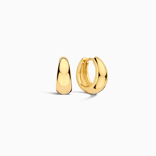Circles Earrings