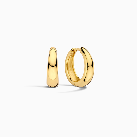 The Golden Earrings